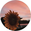 Lanssy Castro H. profile picture